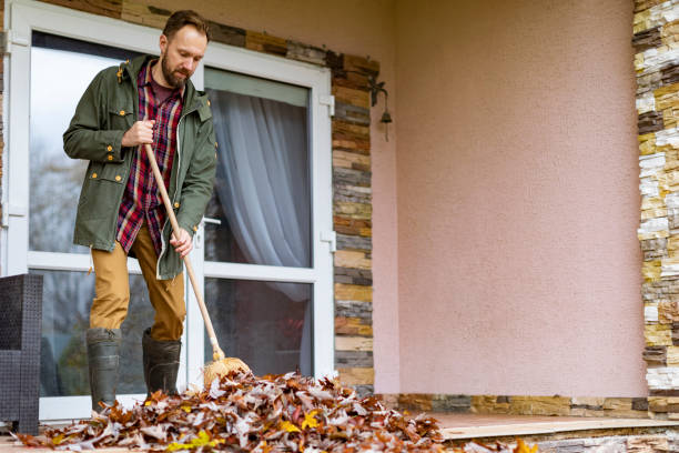 Best Basement Cleanout Services  in South Holland, IL