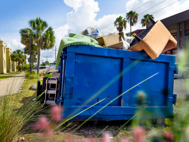 Yard Cleanup Services in South Holland, IL