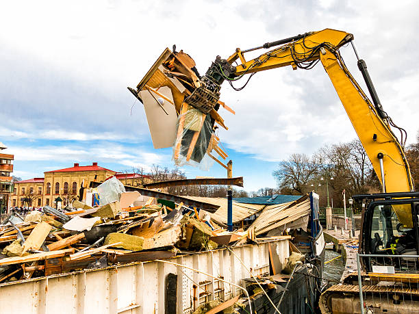 Debris Removal in South Holland, IL